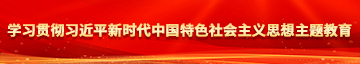 青青草好逼网学习贯彻习近平新时代中国特色社会主义思想主题教育